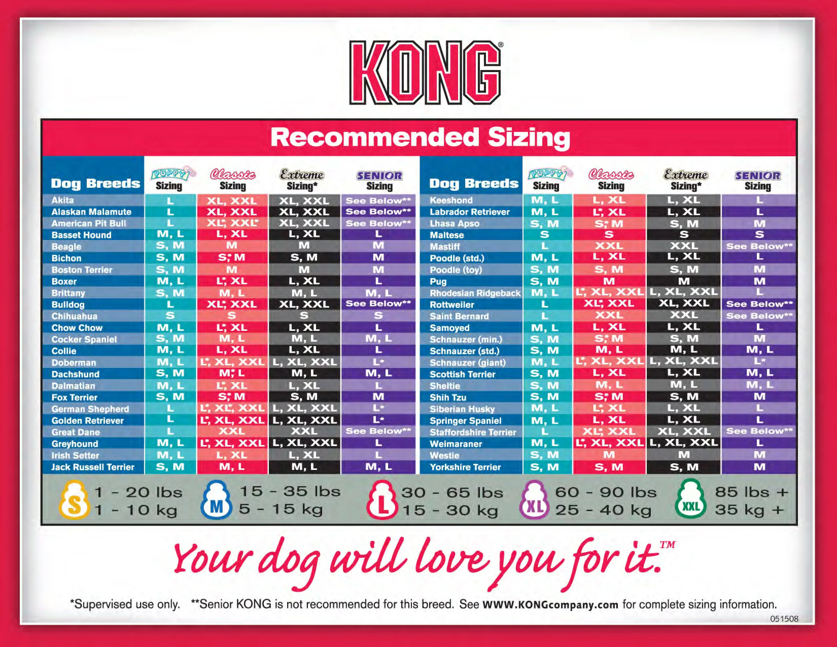 Kong Classic Dog Toy