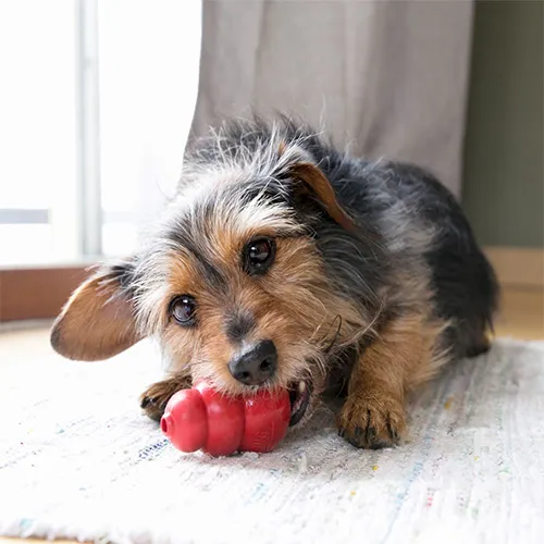Kong® Classic Dog Toy
