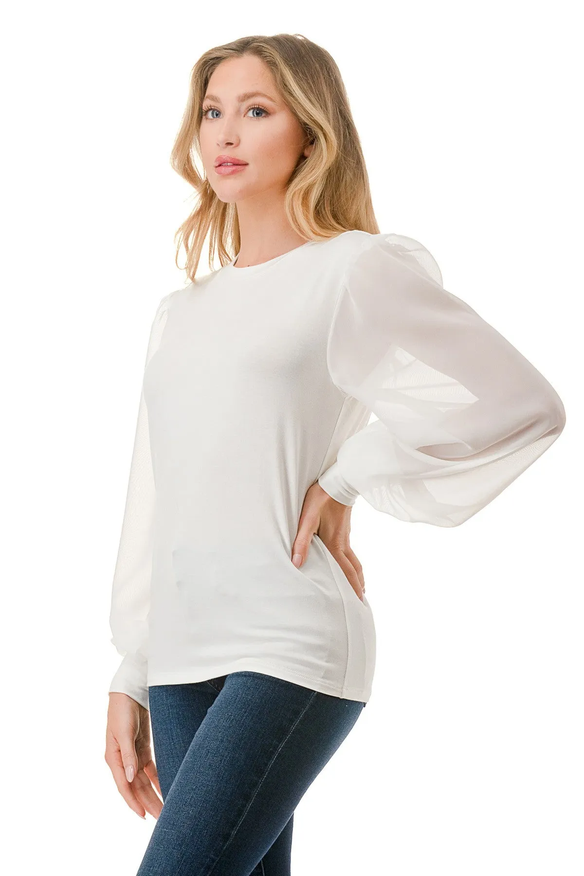 Luxurious Chiffon Sleeve Top