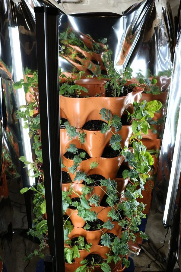 Ultra Efficient LED Grow Light Kit (240 watt)